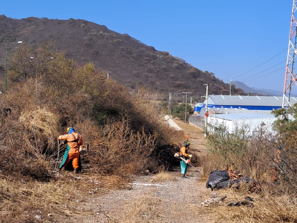 Inicio 15/07: Vialidad Provincial realiza limpieza y desmalezado en la ruta del Parque Industrial, mejorando la seguridad. Finalización prevista en septiembre.